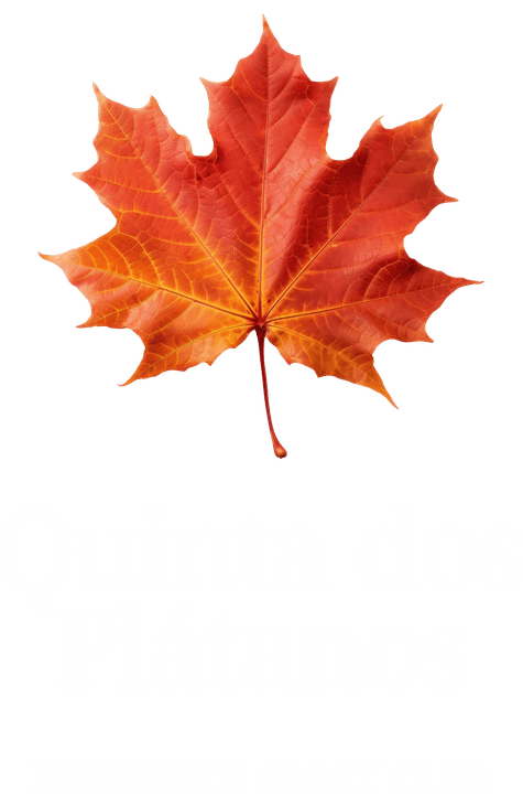 Quinta dos Plátanos — Residence Sport Club