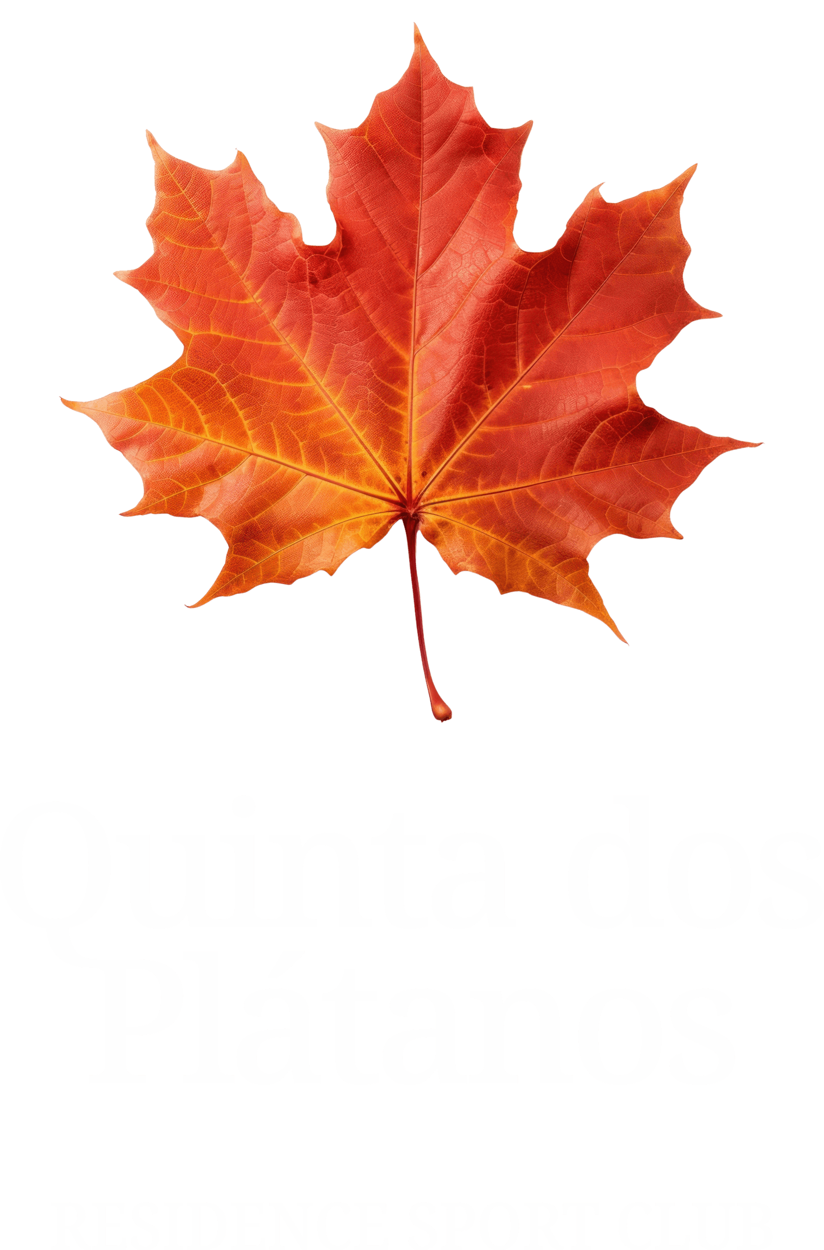 Quinta dos Plátanos — Residence Sport Club